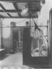ft1g5004bj_00137.jpg